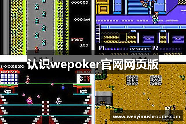 认识wepoker官网网页版